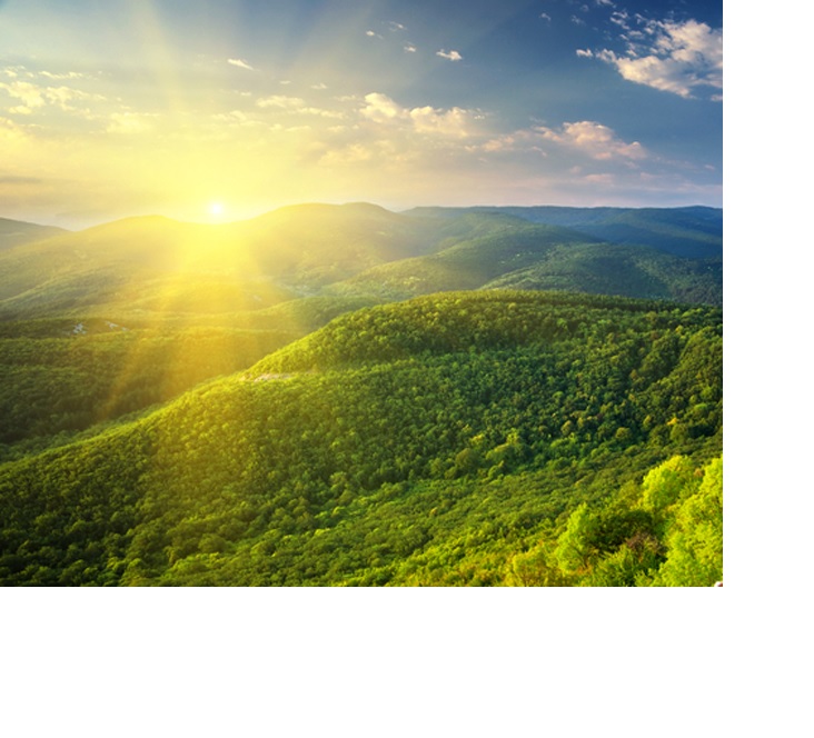 Sunlight Striking Earth’s Surface in Just One Hour Delivers Enough Energy to Power World Economy for Entire Year