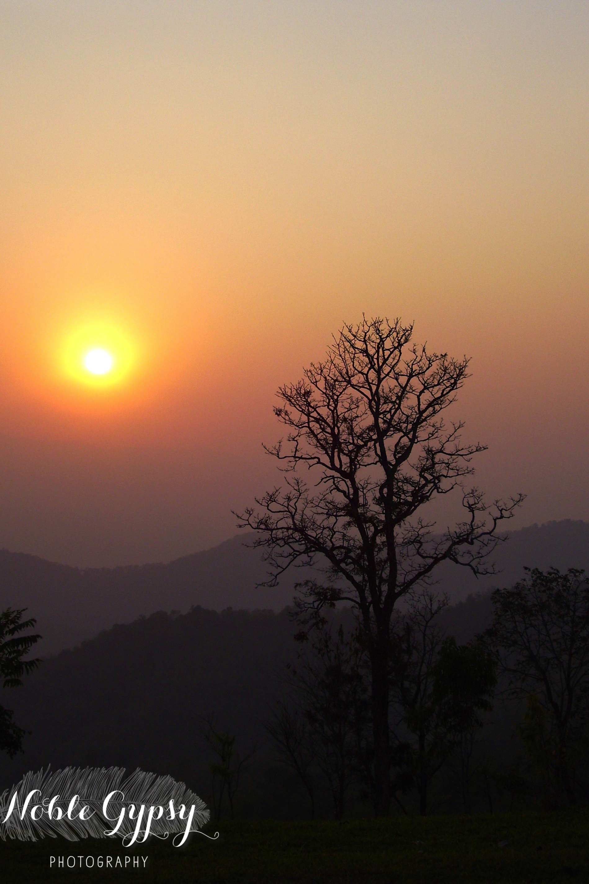 Wanderlust – by Asucena Colon