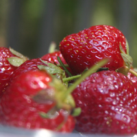 Organic Strawberry Lip Scrub