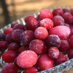 Organic Cranberry Face Mask
