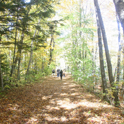 Be Grateful.  Be Thankful